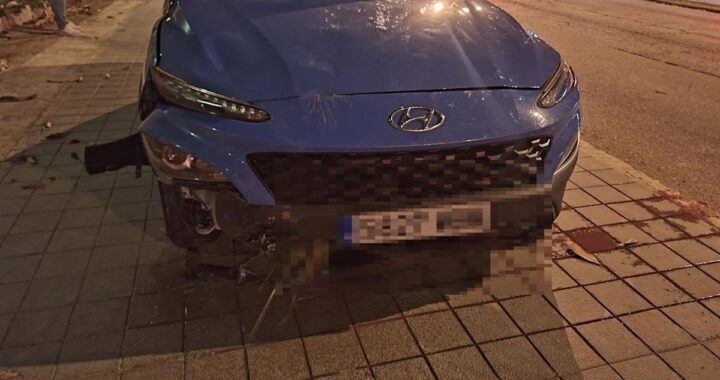 La palmera caída por el viento este sábado en Palma provoca daños en un coche: "Ha estado a 10 centímetros de matarme"