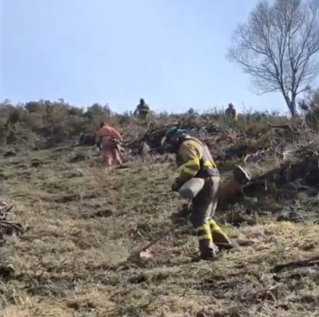 Asturias contabiliza trece incendios forestales