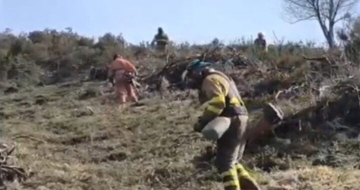 Asturias contabiliza trece incendios forestales