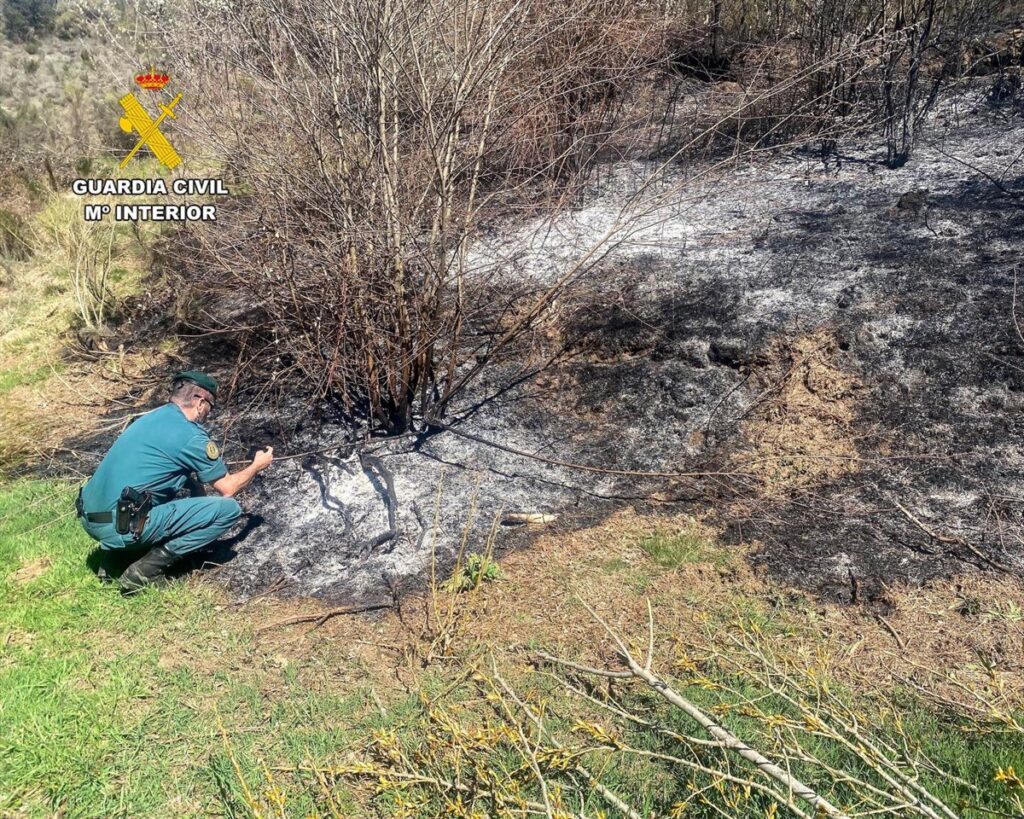 Investigado un vecino por un incendio forestal que calcinó 40 hectáreas en Igüeña (León)