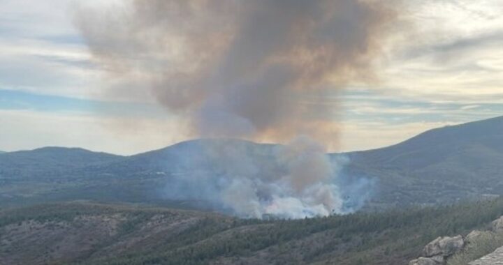 Medios aéreos y terrestres trabajan en la extinción de un incendio forestal declarado este domingo en Acebo