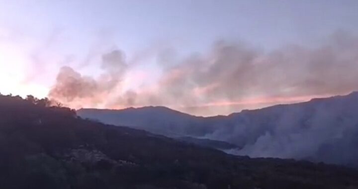 Estabilizado el incendio en Medina-Sidonia (Cádiz) que movilizó a siete grupos de bomberos forestales