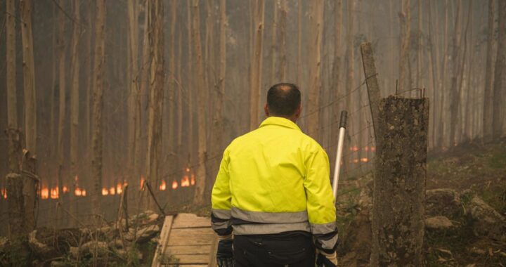 Ascienden a 280 las hectáreas afectadas por los incendios de Ponteareas y Carballo