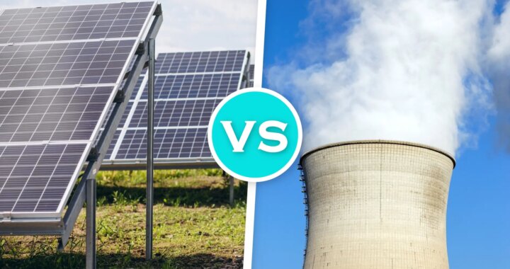 Una hilera de placas solares en un paisaje abierto y soleado