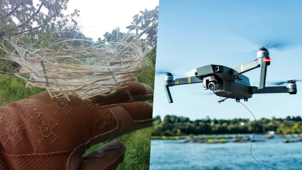 Pájaro en un nido hecho con cables de fibra óptica de drones en Ucrania