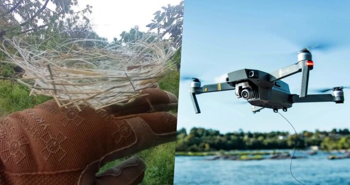 Pájaro en un nido hecho con cables de fibra óptica de drones en Ucrania