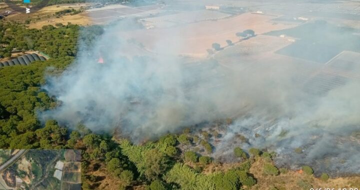 Un vehículo semipesado y medios aéreos anfibios listos para combatir el incendio en Cartaya