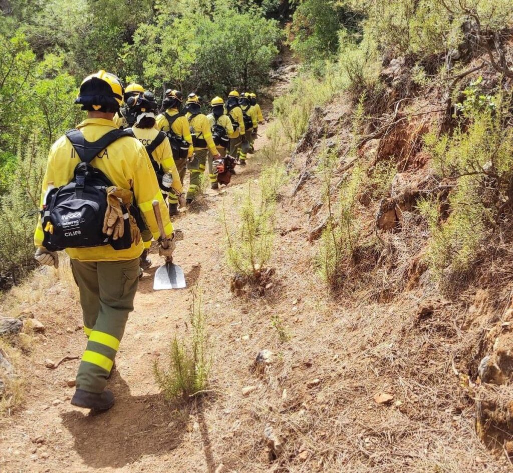 Imagen de un equipo de bomberos forestales trabajando en un incendio