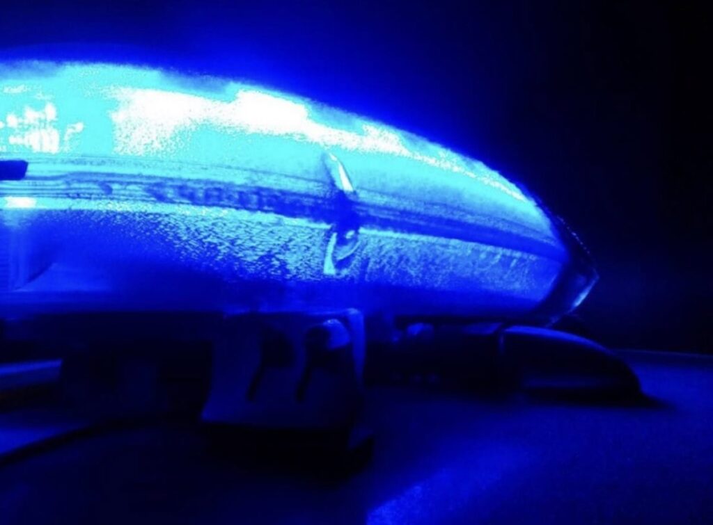 Imagen de una oreja herida tras un mordisco violento en una pelea