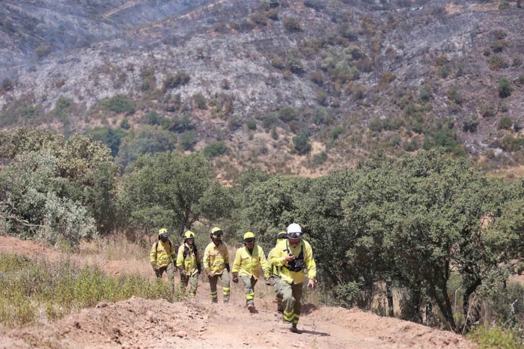 Equipo de Infoca trabajando en la extinción del incendio forestal en Villanueva de los Castillejos