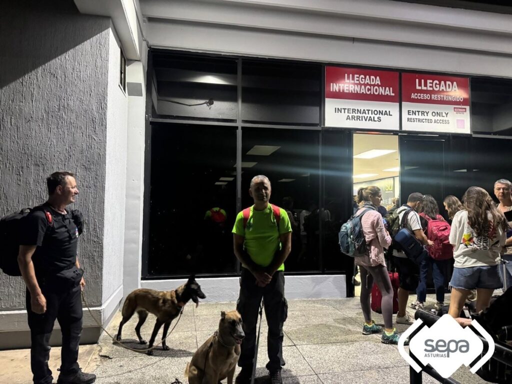 Equipos caninos del SEPA en acción durante rescate en estructuras colapsadas en La Guaira