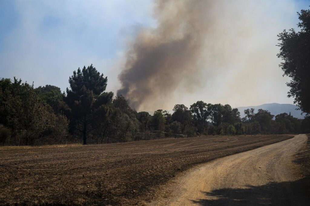 Bomberos combatiendo focos secundarios en un incendio forestal con perímetro irregular y condiciones meteorológicas adversas