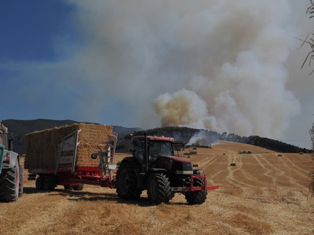 Columna de humo y llamas en zona de arbolado y cosecha, símbolo de la emergencia que oculta fallos estructurales en la gestión del territorio
