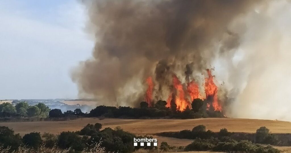Bomberos combatiendo un incendio forestal reactivado en Guimerà, símbolo de las grietas en el operativo contra el fuego